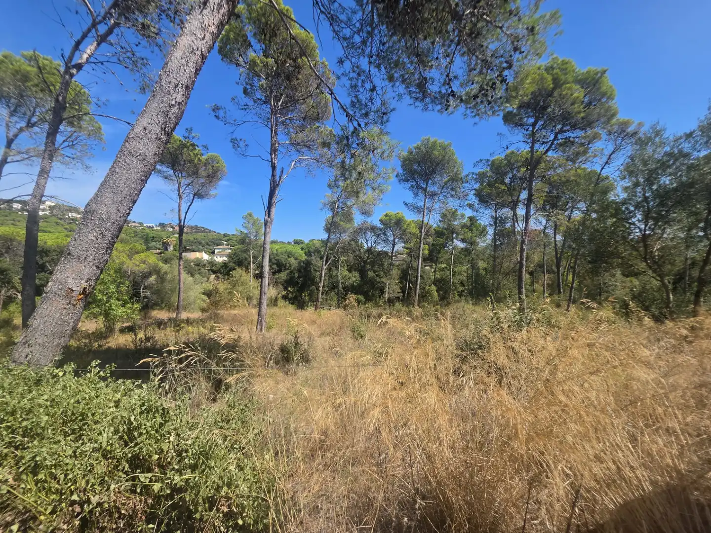 Terreny residencial en venda a Avinguda de l' Església, imagen 2