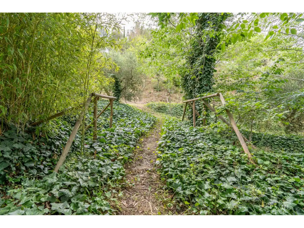 Finca rústica en venda en Riudecols amb Calefacció, Jardí privat i Piscina