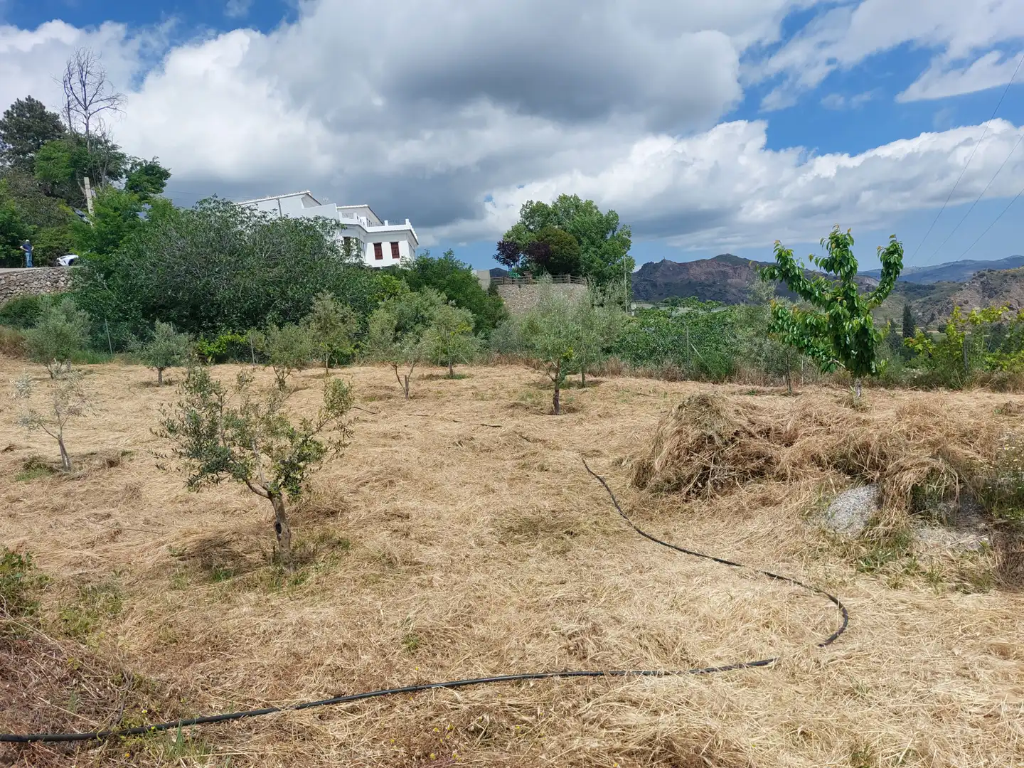 Land for sale in Pórtugos
