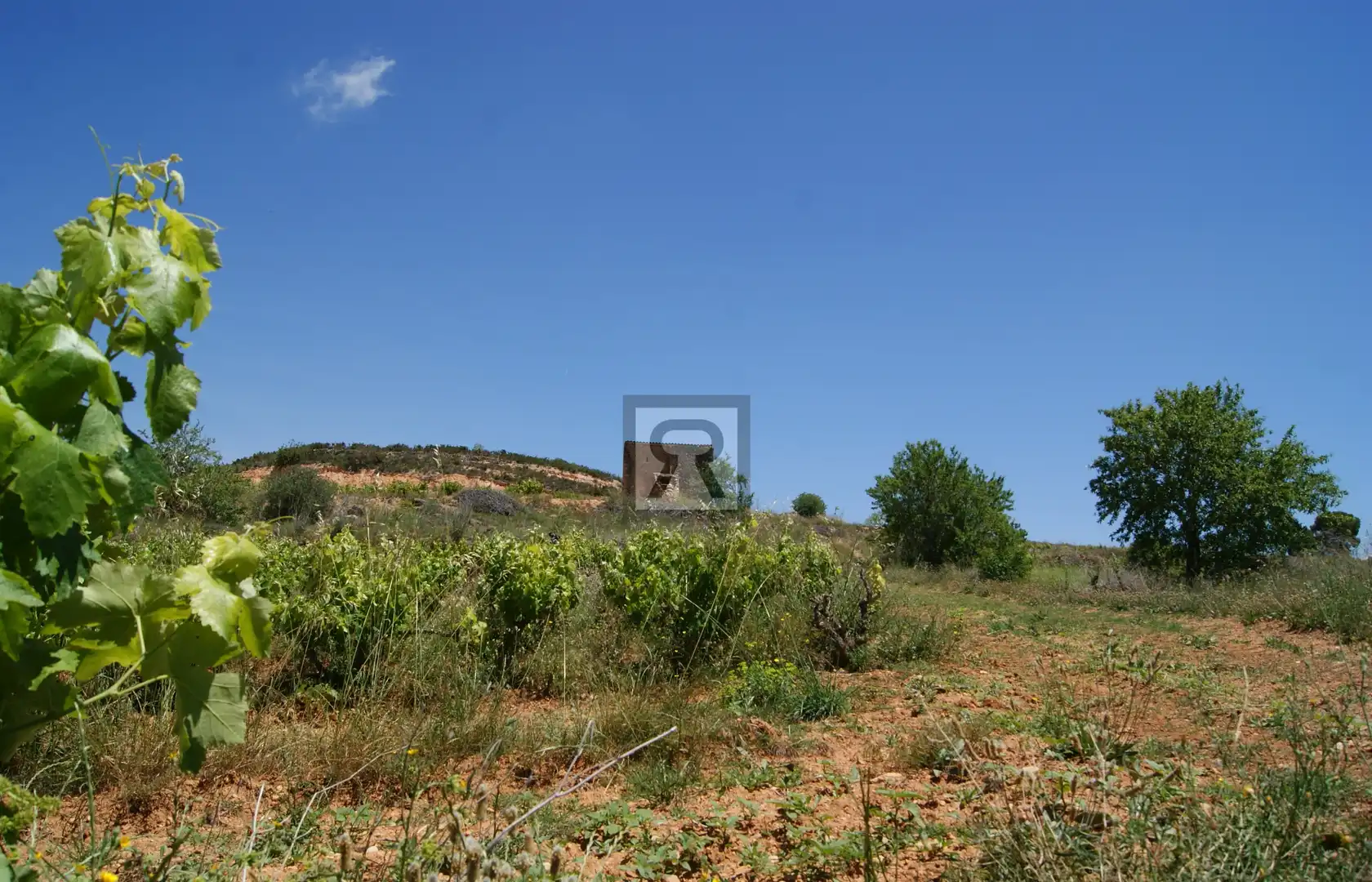 Terrain rustique à vendre à N/A, imagen 19
