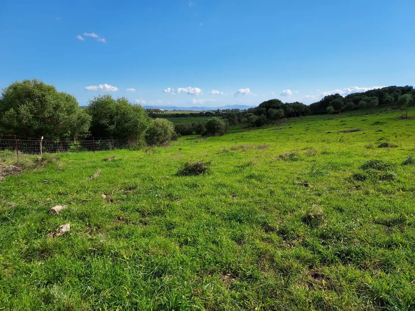 Terreni e lotti in vendita a Tarifa ciudad, imagen 4