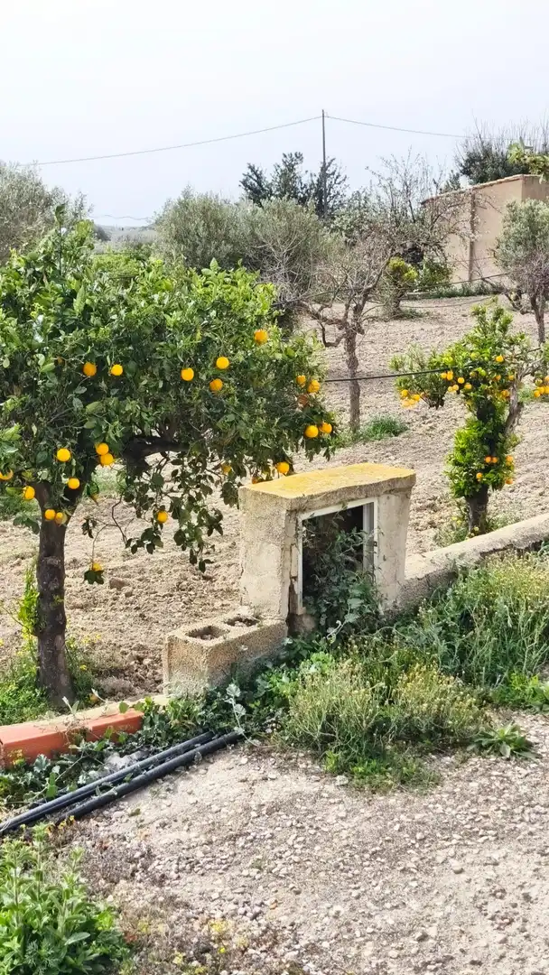 Vista exterior de Finca rústica en venta en Aigües con Jardín privado