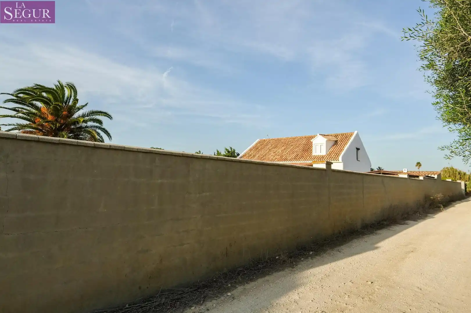 Exterior view of Houses for sale in Vejer de la Frontera  with Private garden, Terrace and Swimming Pool