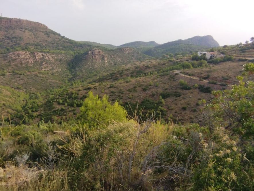 Terreno en venta en Urbanización la Malla, 214, Segart