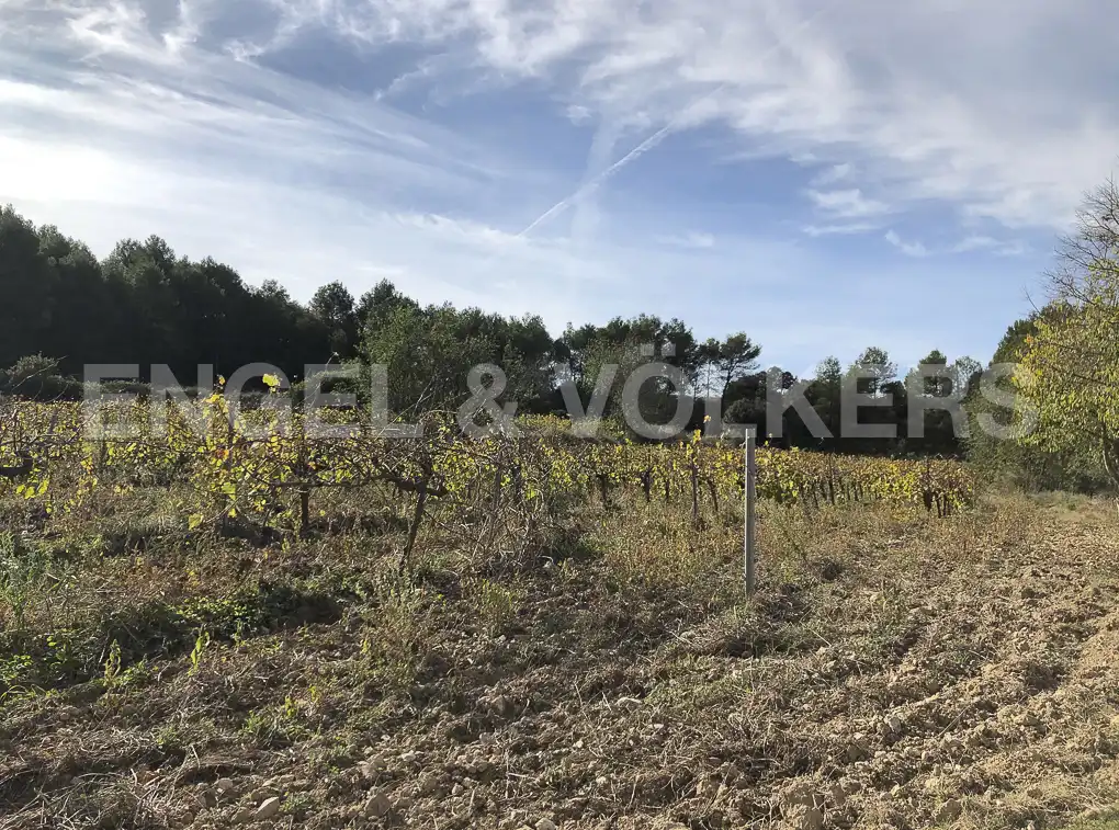 Terreny residencial en venda a Avinyonet del Penedès, imagen 6
