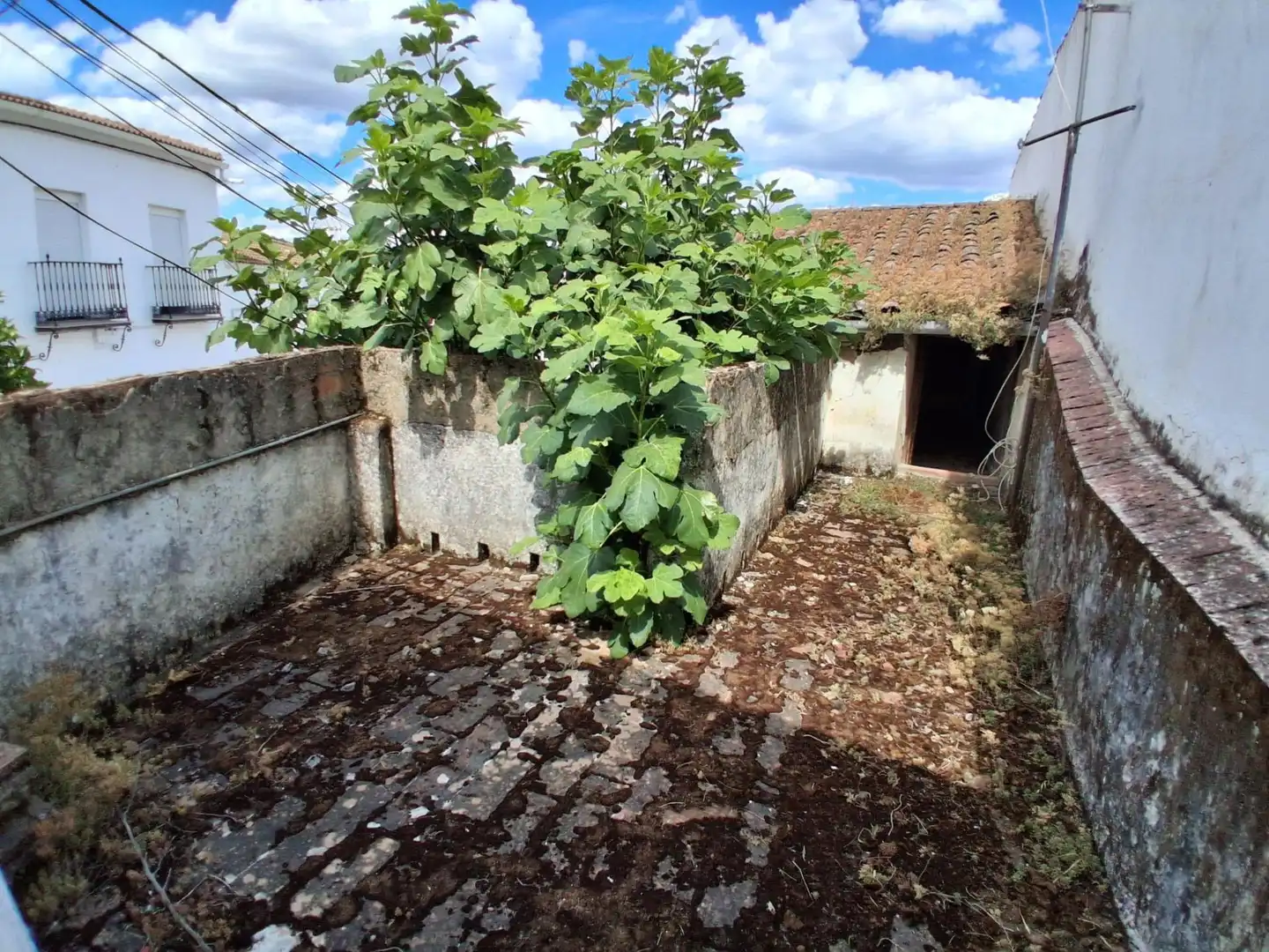 Ground floor for sale in Almadén de la Plata, Sevilla