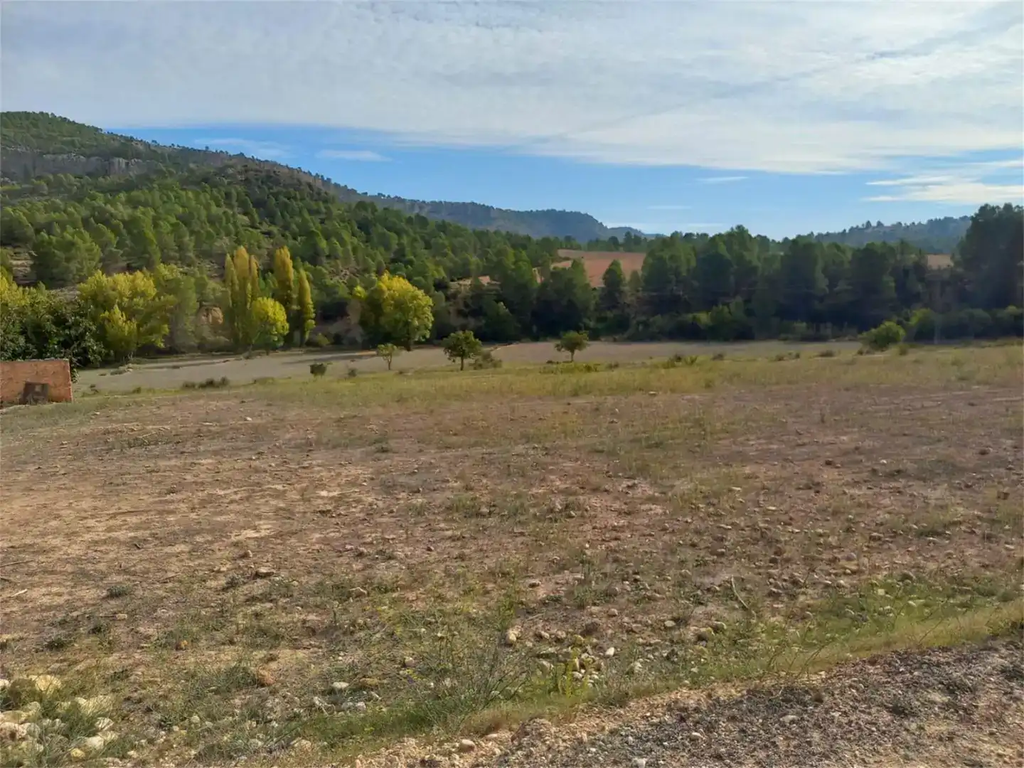 Terreno en venta en Letur