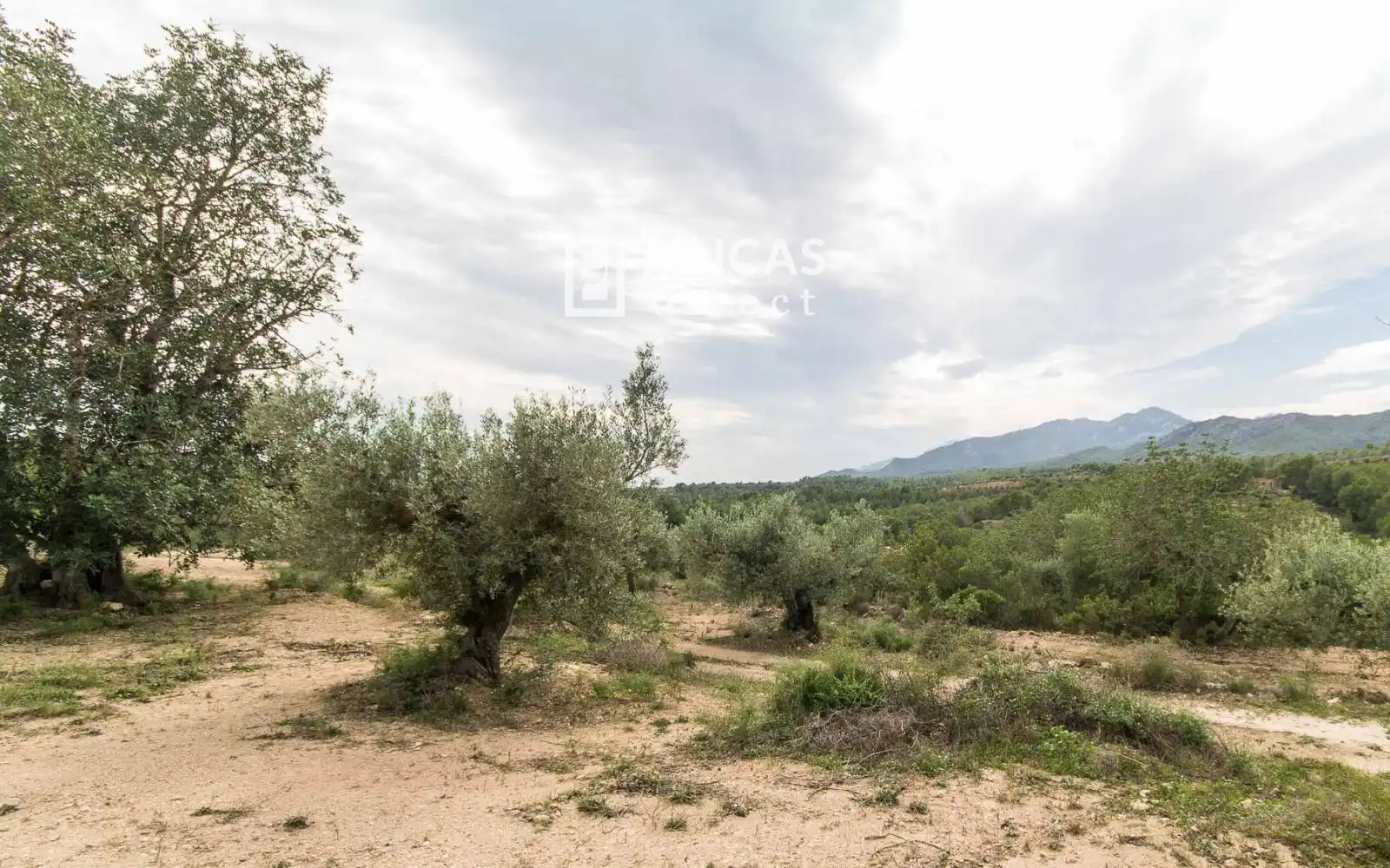 Finca rústica en venta en Benifallet con Trastero y Amueblado
