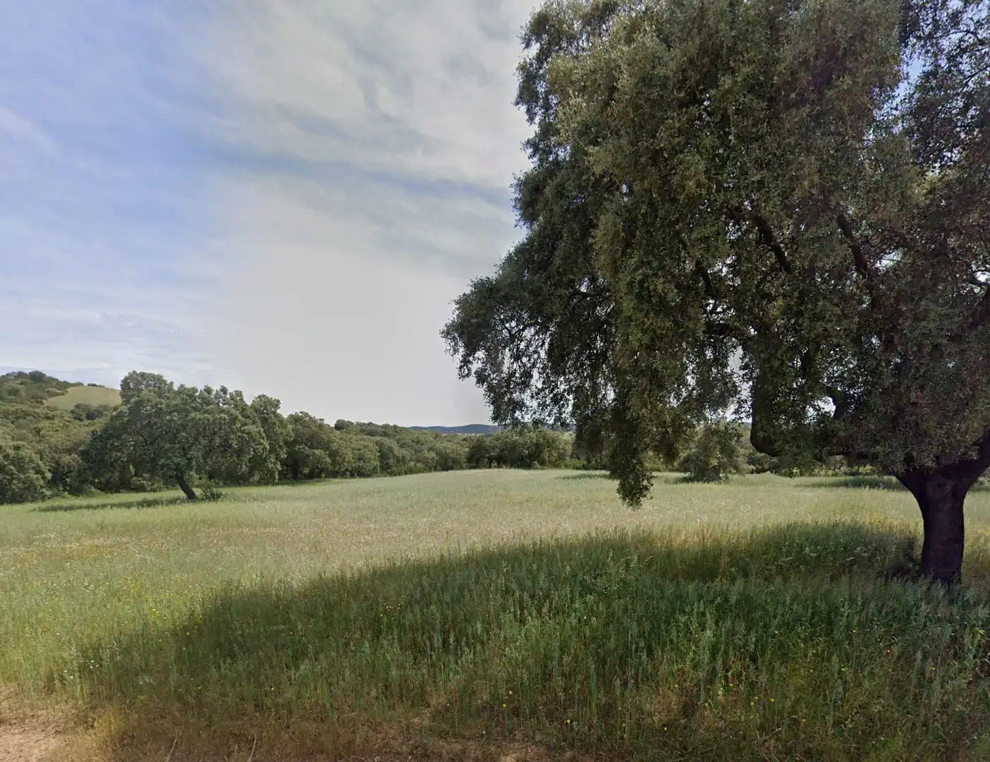 Terreny rústic en venda a Villanueva de la Serena, imagen 8