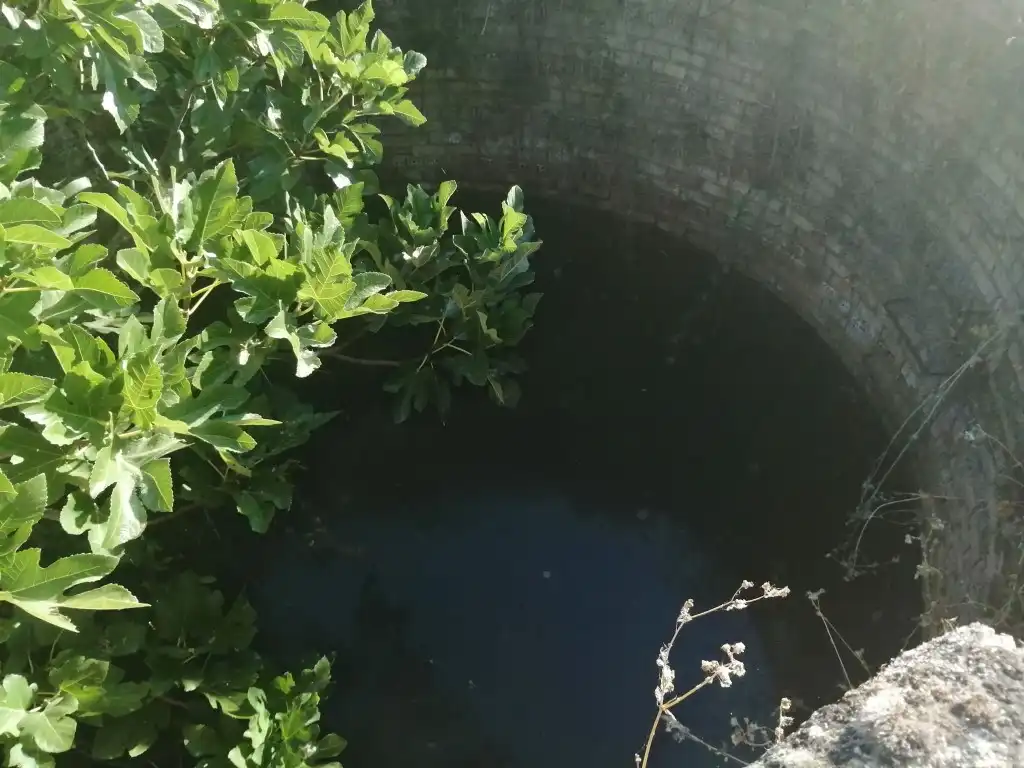 Swimming pool of Residential for sale in Morón de la Frontera