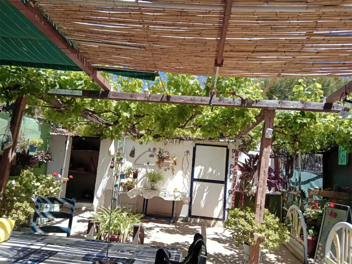 Terrassa de Casa o xalet en venda en Adra