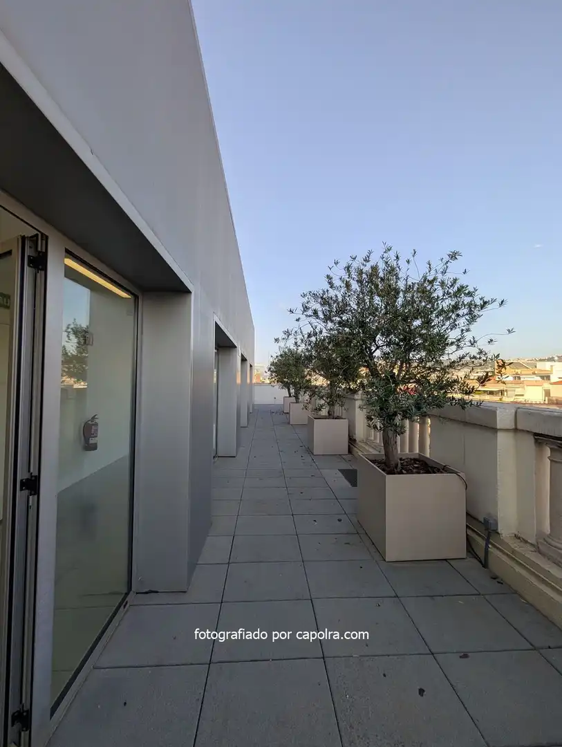 Büro mit Aufzug zur Miete in Avenida Diagonal