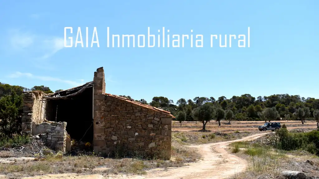 Casa rústica en venda a Maella, imagen 6