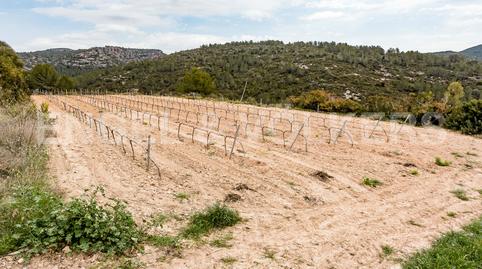 Photo 3 of House or chalet for sale in Castellet i la Gornal, Barcelona