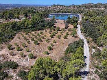 Terreno rústico en venta en Cervià de Les Garrigues