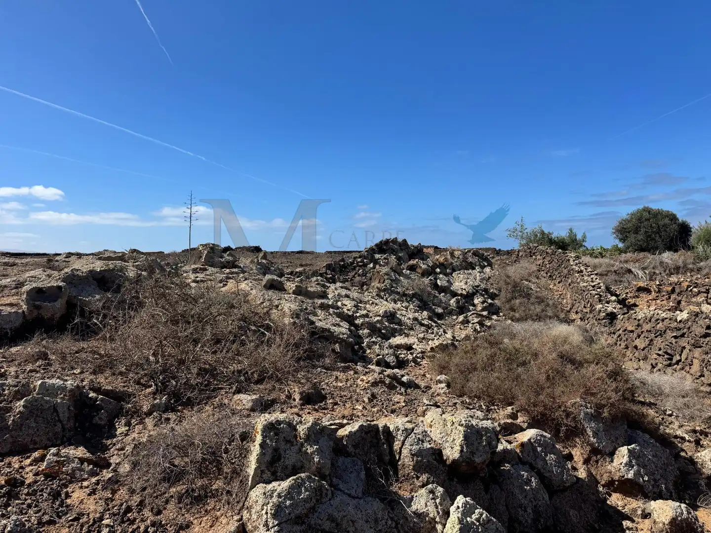 Land for sale in La Oliva