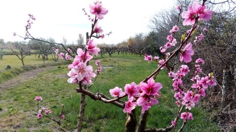 Foto 3 de Terreno en venta en Santa Isabel,  Zaragoza Capital