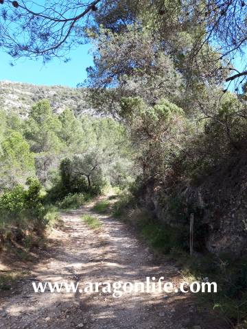 Terreno en Venta en Gandesa