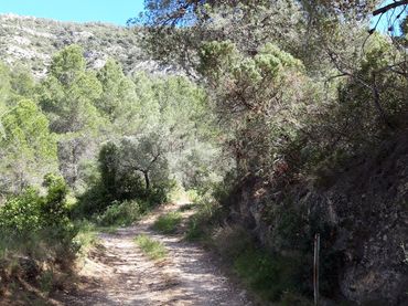 Terreno rústico en venta en Gandesa