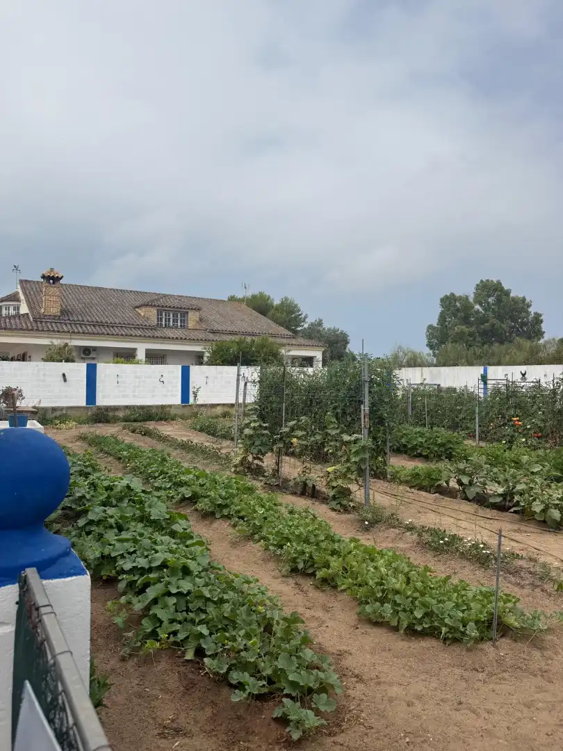 Casa o xalet en venda a Cuatro Pinos - El Carmen