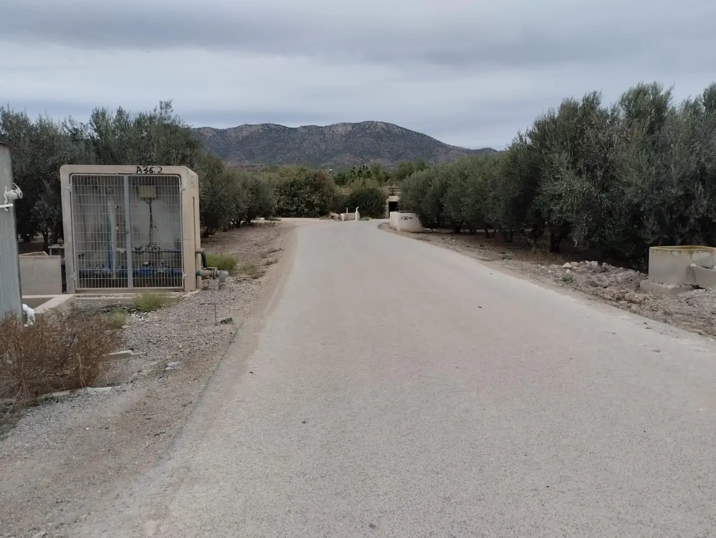 Terreny rústic en venda a Lorca Ciudad, imagen 6