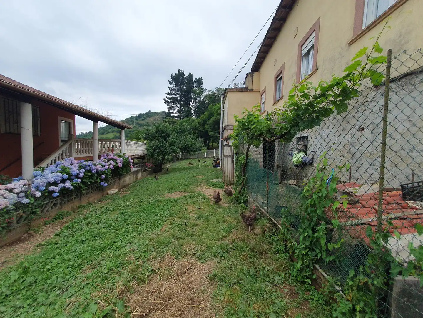 Casa con terraza en venta en Belmonte de Miranda, imagen 6