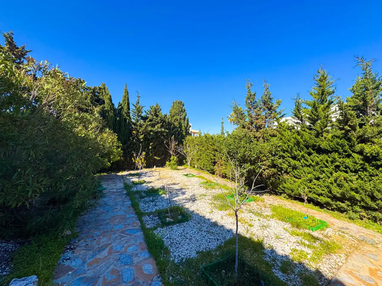 Villa mit Terrasse zum Verkauf in La Mata, imagen 100