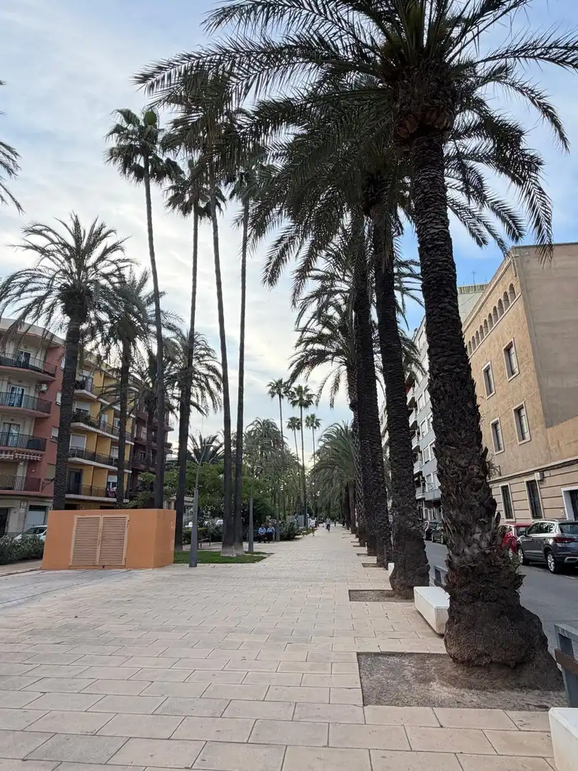 Business premises for sale in Algemesí, imagen 19