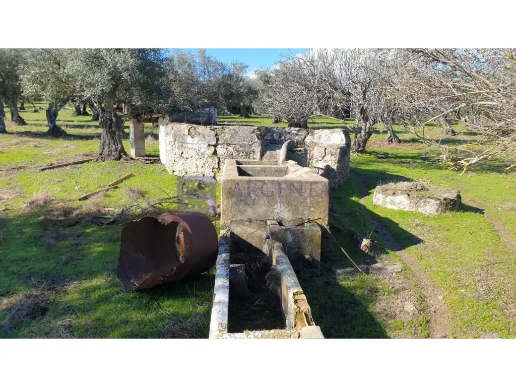 Houses for sale in Diseminados S Miguel, Alcántara