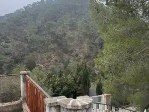 Terrain rustique à vendre à Carrer Montalegre, imagen 33