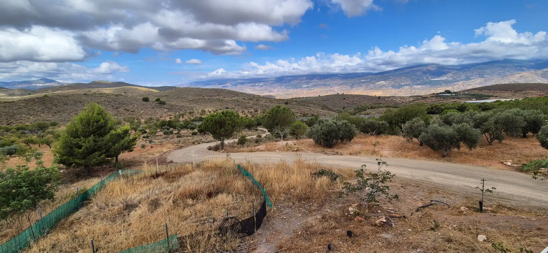 Terrain rustique à vendre à Alcolea, imagen 36