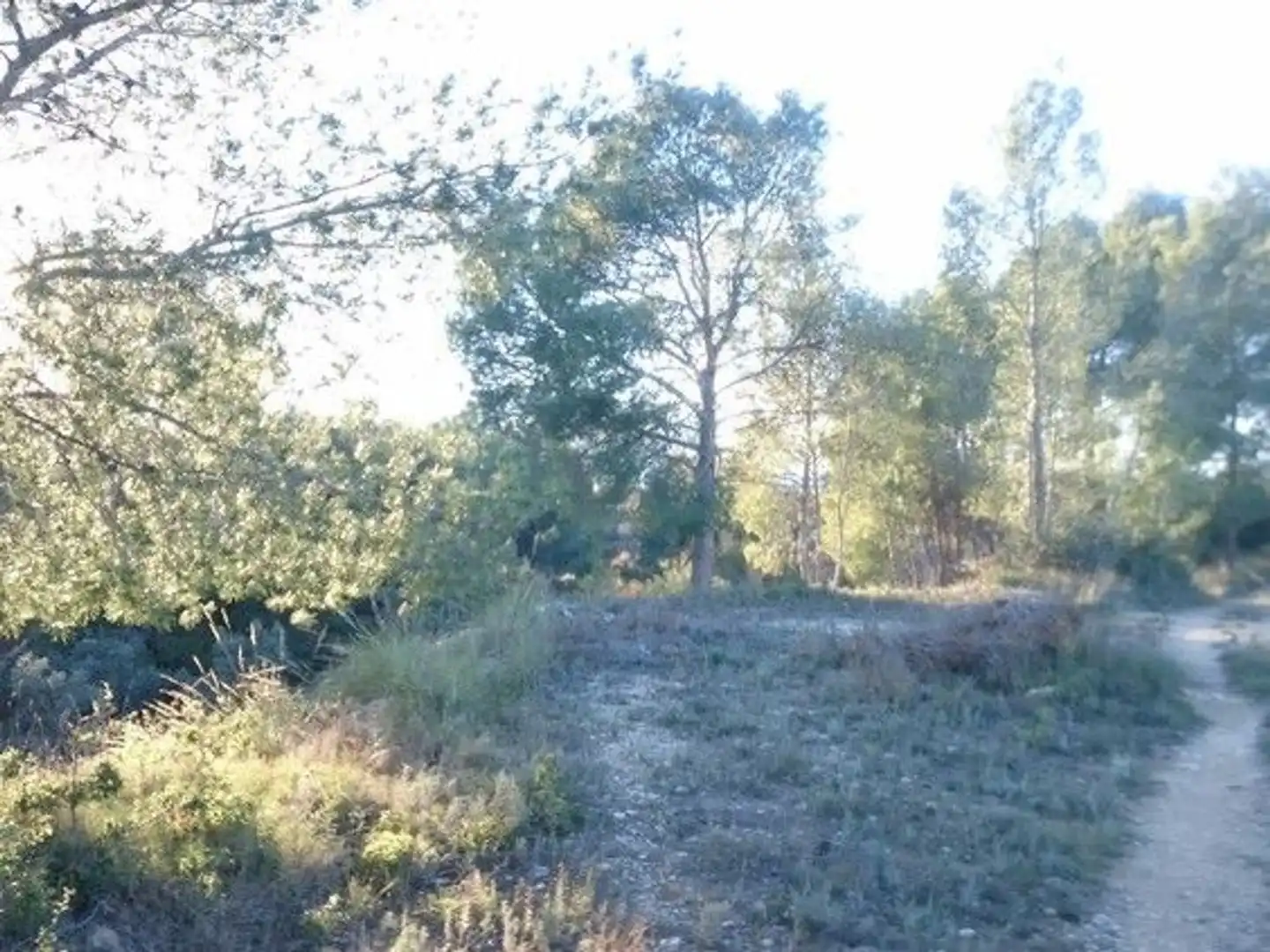 Terreni e lotti in vendita a Moratalla, imagen 19
