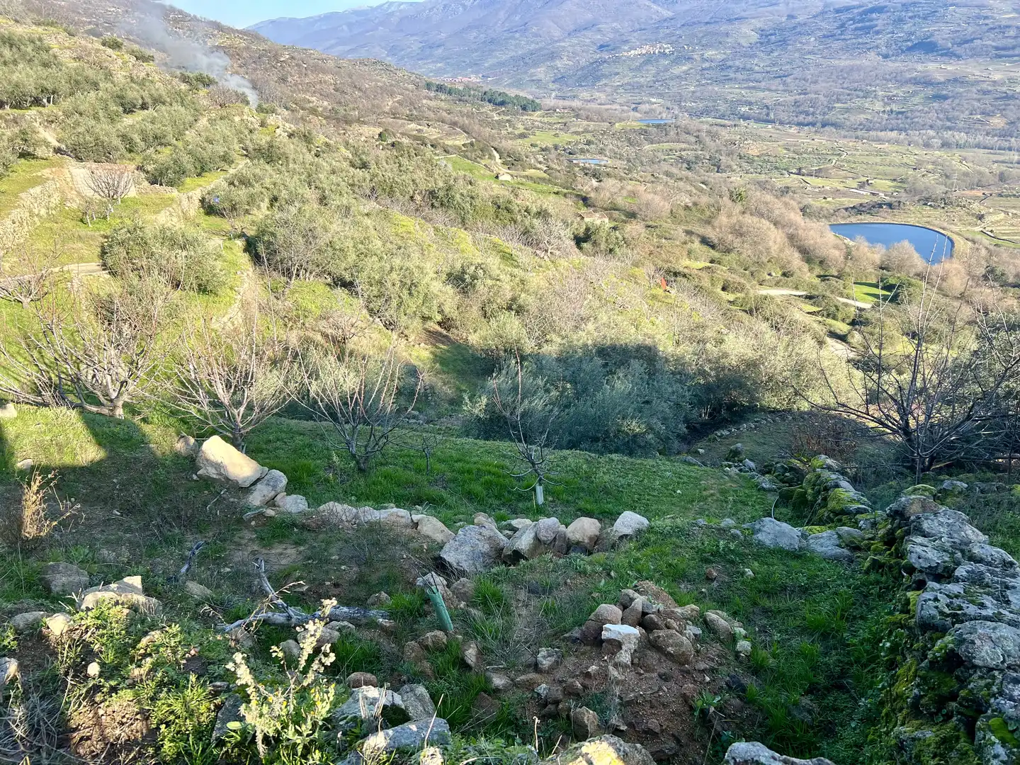 Terreno en venta en El Torno 