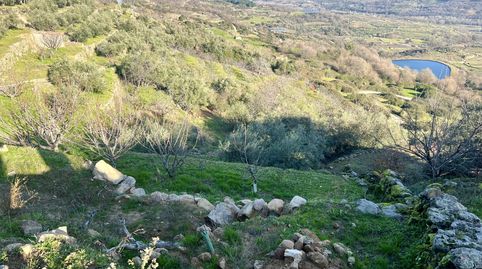 VENTA E FINCA EN EL TORNO. VALLE DEL JERTE