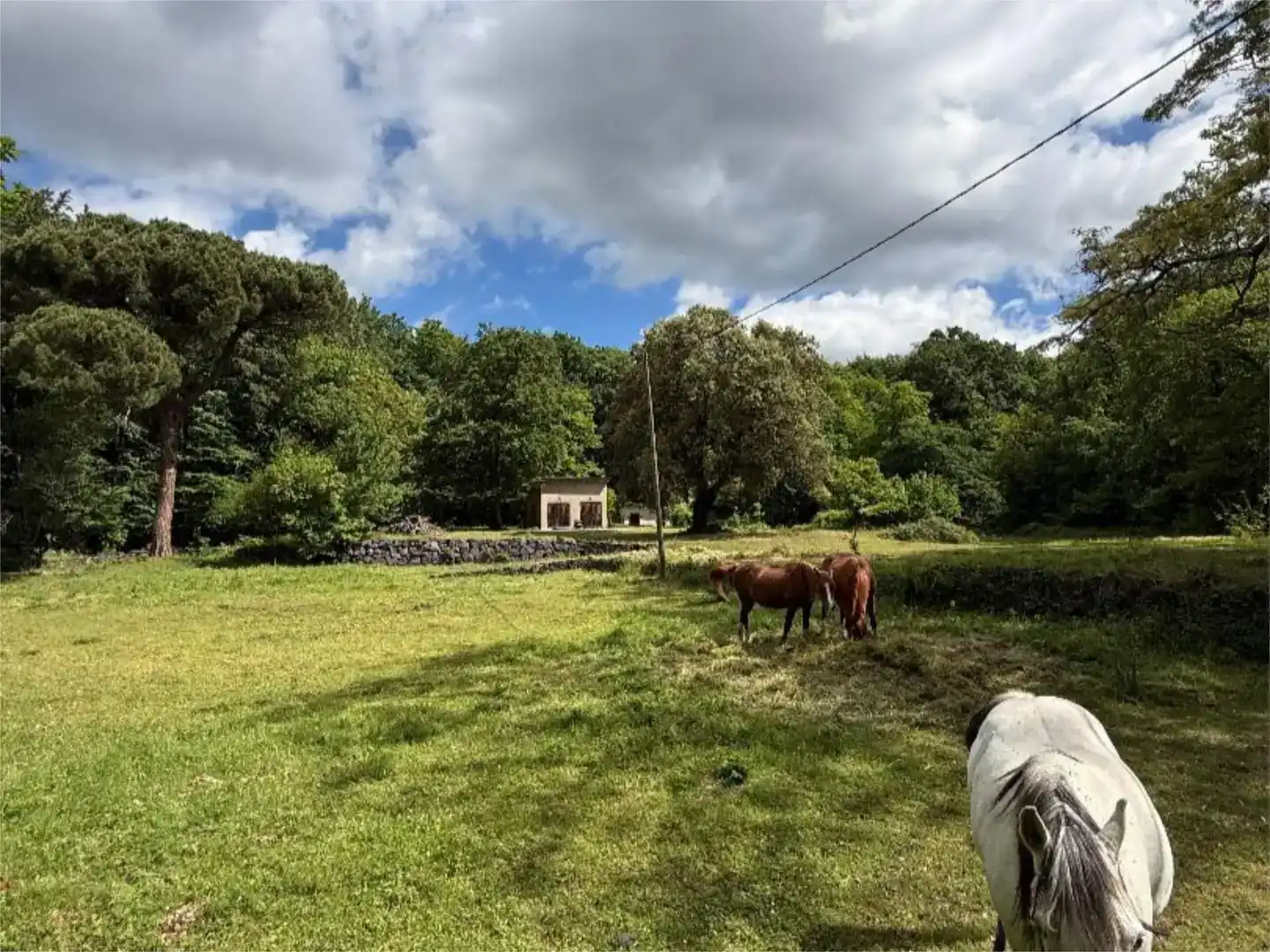 Pis en venda en Santa Pau amb Jardí privat i Traster