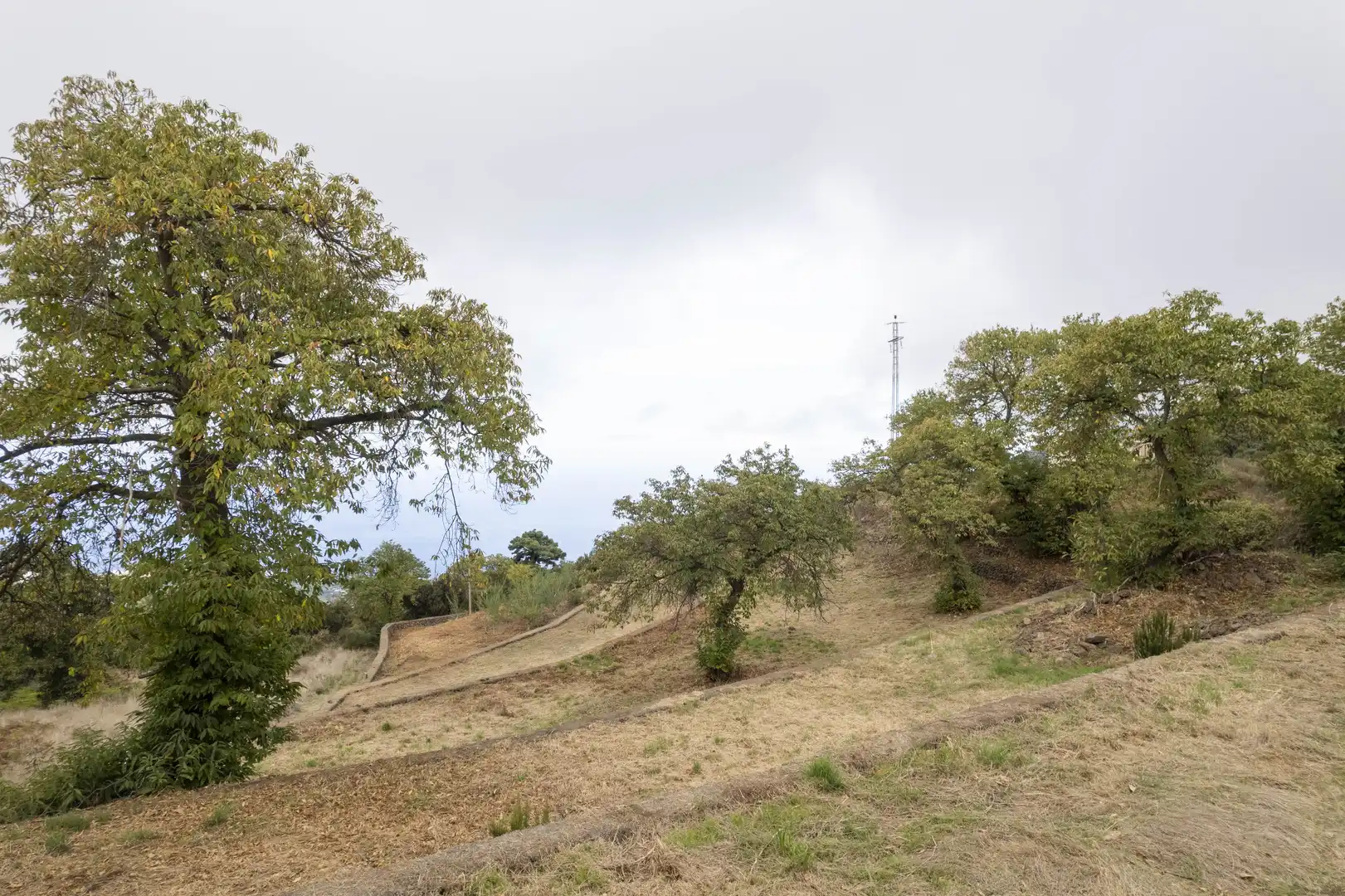 Terreno rustico in vendita a Camino Bebedero, imagen 20