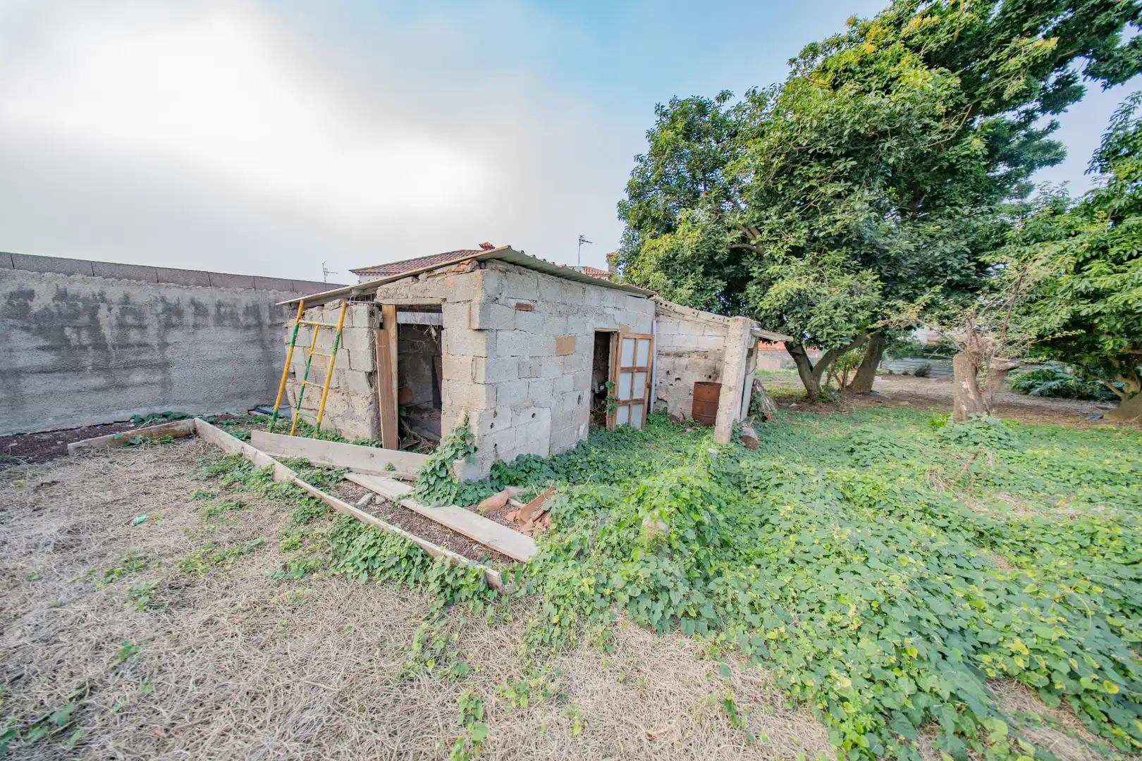 Casa o chalet en venta en Tacoronte