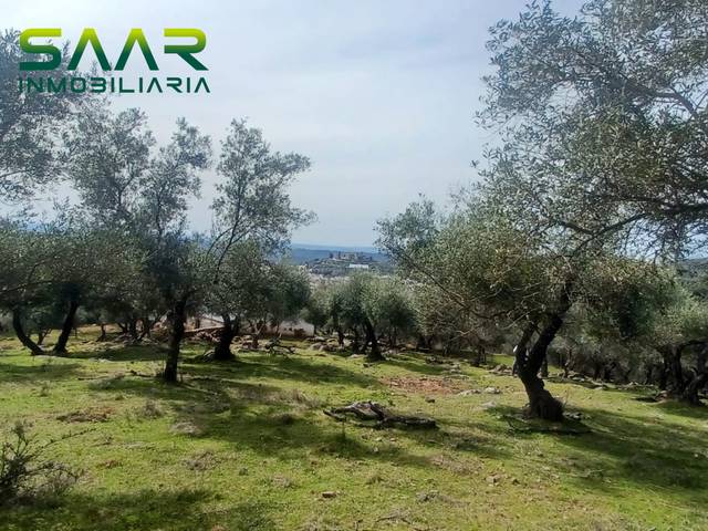 Terreno en Venta en Constantina