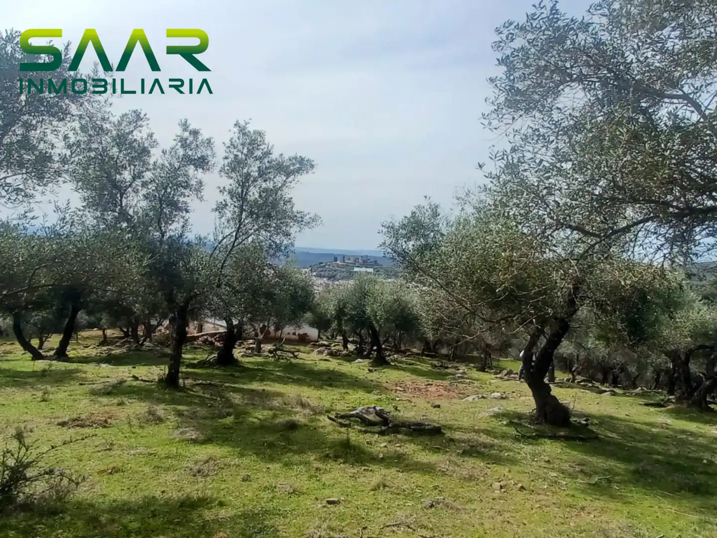 Terreni e lotti in vendita a Constantina