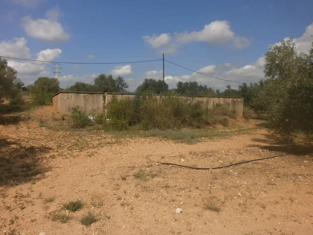 Rural land for sale in Constantí, imagen 18