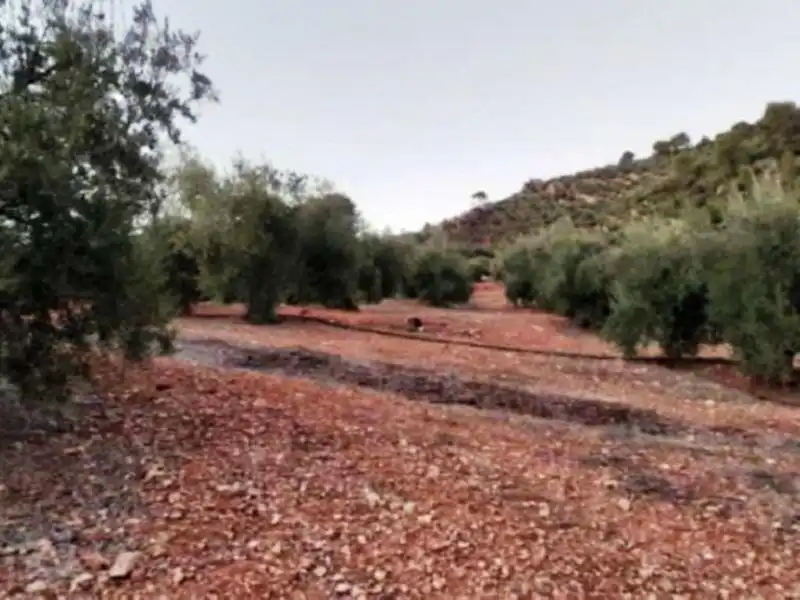 Terreni e lotti in vendita a Villanueva del Arzobispo, imagen 7