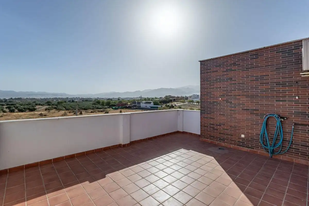 Xalet amb jardí en venda a Camino Montevive 41, imagen 52