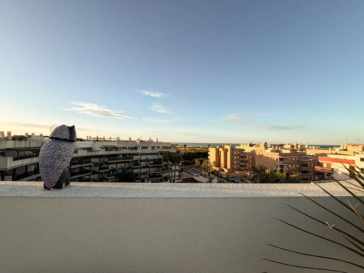 Dachboden zum Verkauf in Carrer Jaume Roig, Canet d'En Berenguer