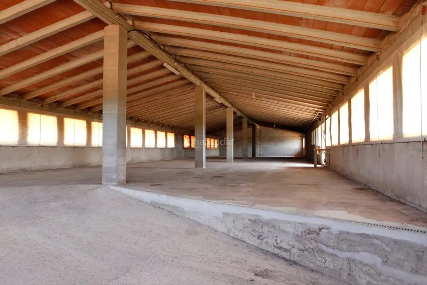 Nave industrial en alquiler en Vial Camino 58, imagen 3
