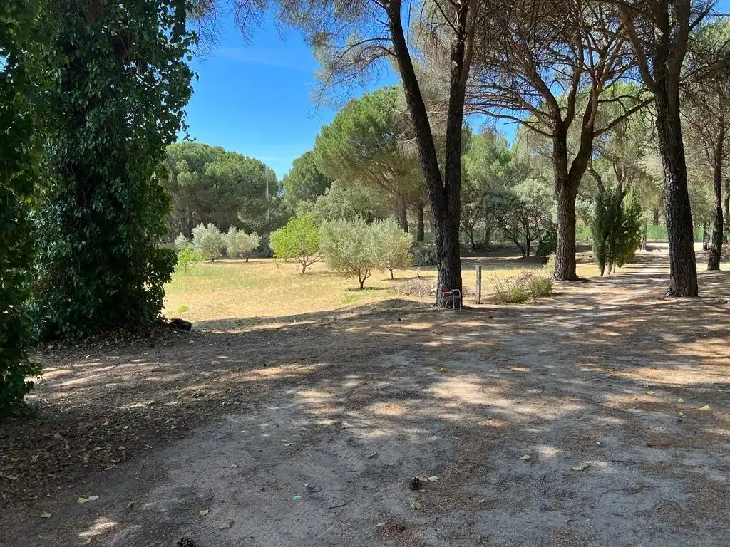 Casa rústica en venda a Andújar, imagen 6