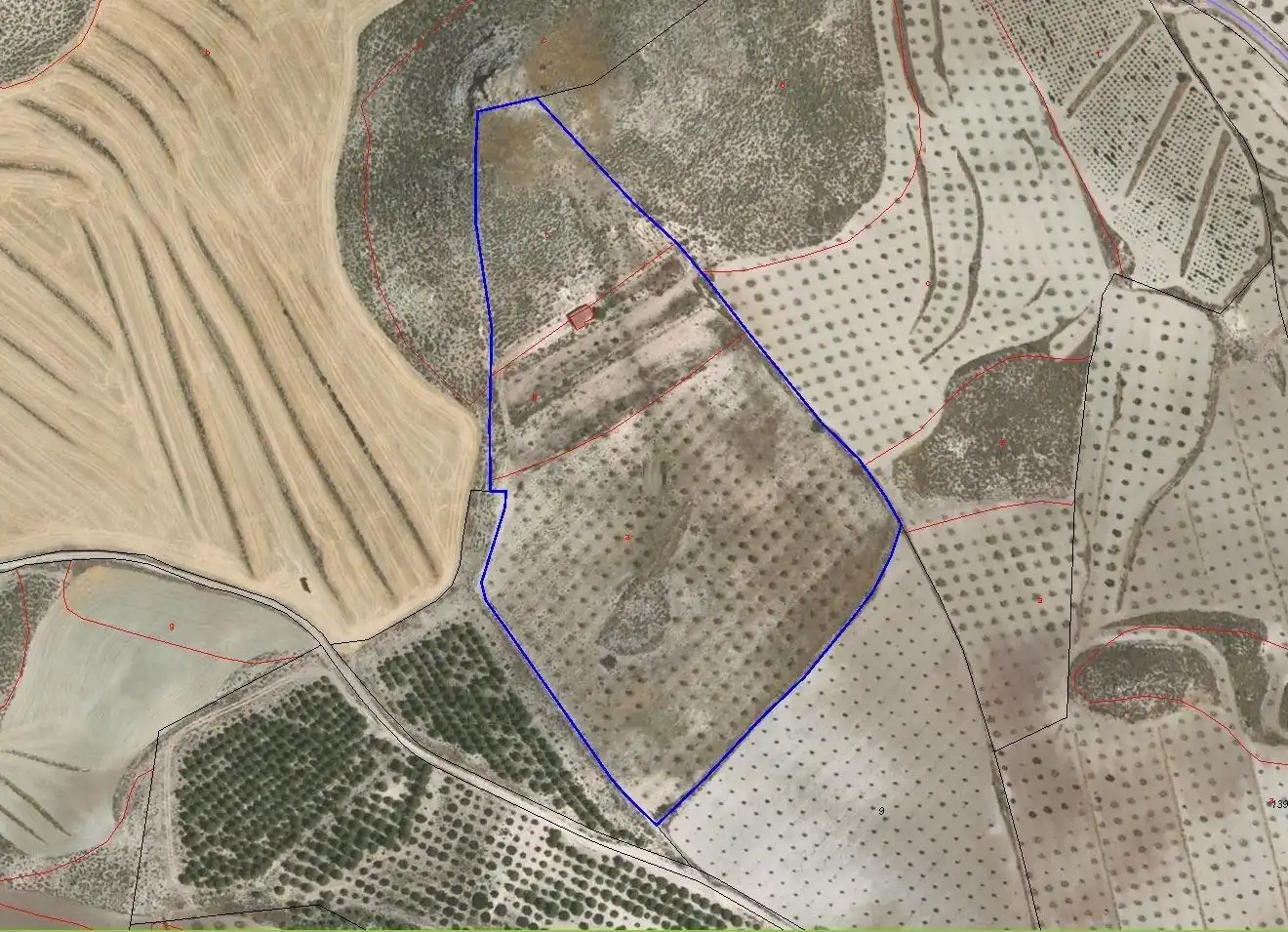 Finca rústica en venta en Lorca con Terraza y Amueblado
