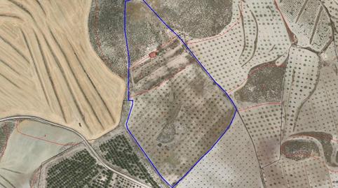 Foto 4 de Finca rústica en venda a Coy, Murcia