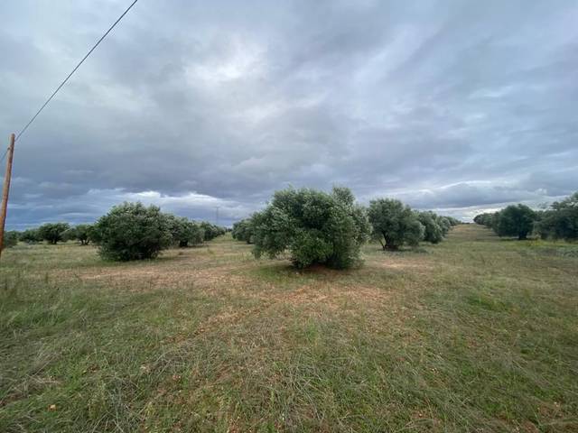 Finca rústica en Venta en Villa del Prado
