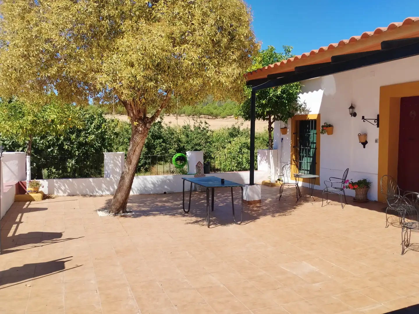 Country house with pool for sale in Zafra, imagen 4