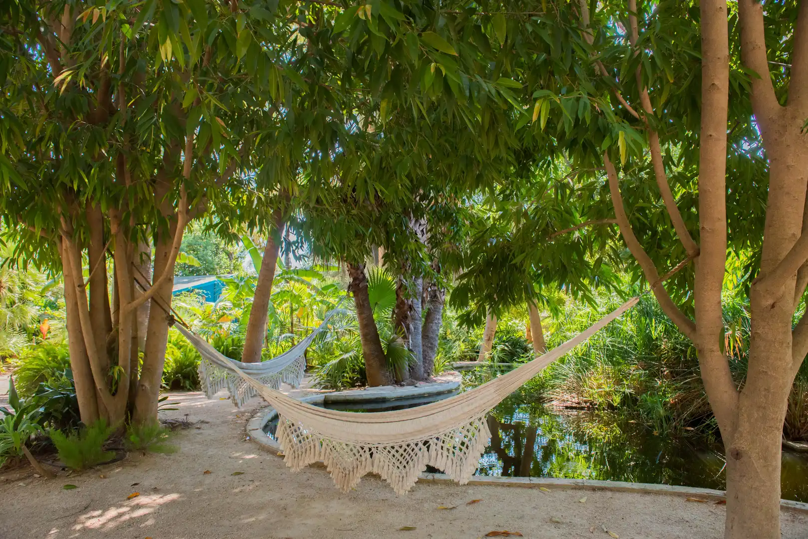 Jardín de Finca rústica en venta en Sagra con Aire acondicionado, Terraza y Piscina